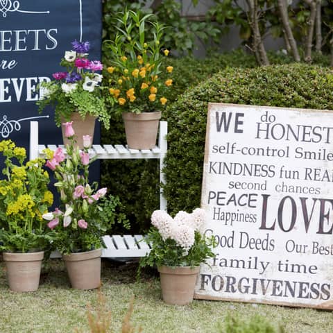 【2026年7~8月:サマープラン】※40名/201万円