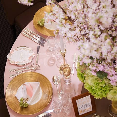 【2026年7~8月:サマープラン】※40名/201万円