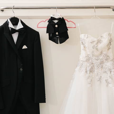 \ペットと一緒にW/Socia21限定オリジナルアイテムプラン