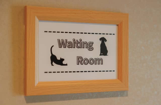 Socia21(ソシア21)|神奈川県 新横浜の結婚式場