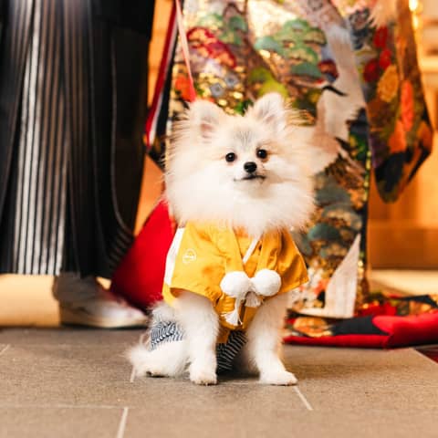 Socia21(ソシア21)|神奈川県 新横浜の結婚式場