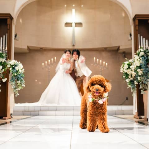 \ペットと一緒にW/Socia21限定オリジナルアイテムプラン