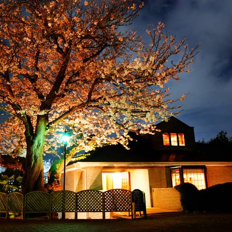 【ナイトウエディングプラン】ロマンチックでラグジュアリーに大人な結婚式