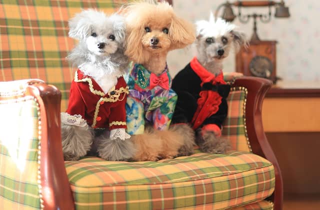 【公式】ローズホテル横浜 別邸 ザ・ローズレジデンス