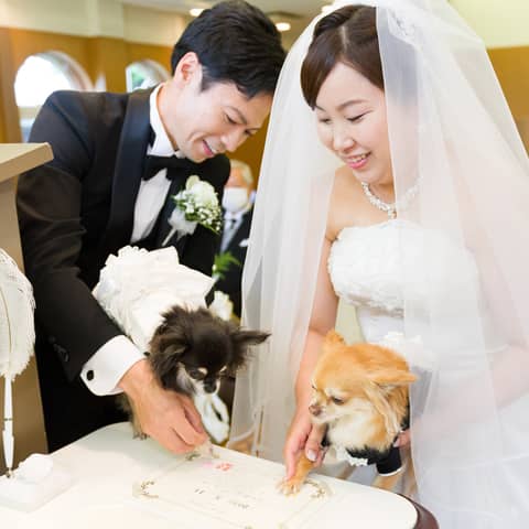 【愛犬も一緒に全館OK!/愛犬のお食事付】ペットと一緒の結婚式♪