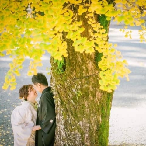 【神社婚・和装プラン】美食&最高のロケーションで叶うおしゃれ和婚