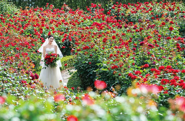 東京の結婚式場ならホテルニューオータニ【公式】
