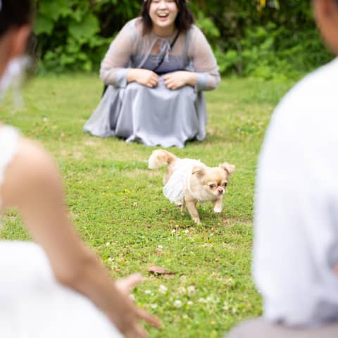 \他プラン併用可/大切な家族との結婚式が叶うペット婚PLAN