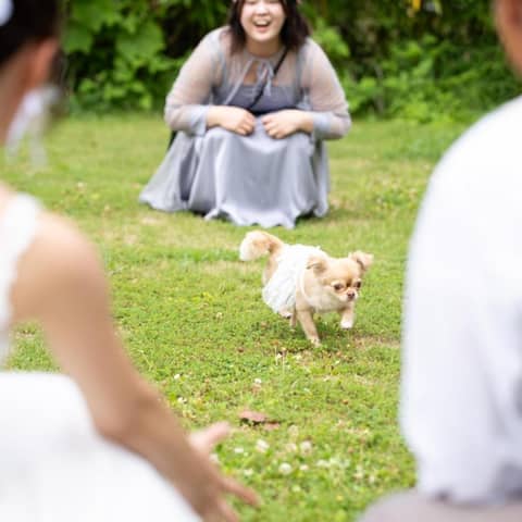 【ブライダル公式】ホテルフラッグス 佐世保九十九島 - 佐世保の結婚式場 -