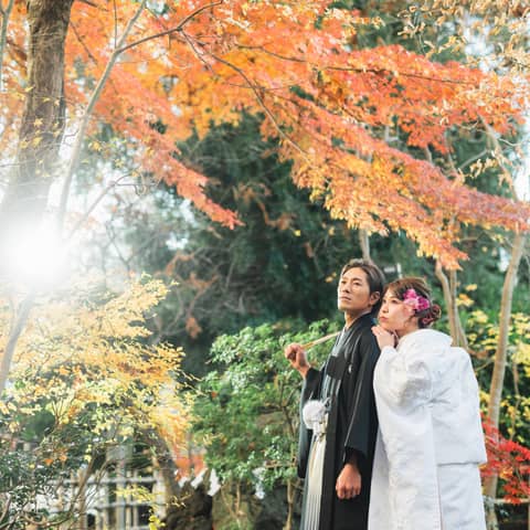 【和装1点】大國魂神社境内ロケ フォト プラン