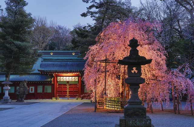 大國魂神社 結婚式