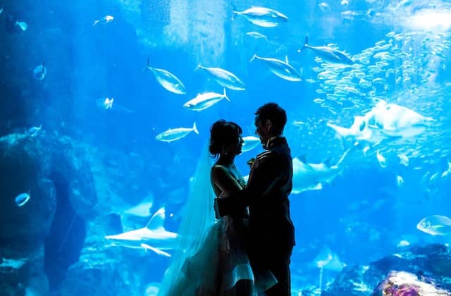 THE LUIGANS Spa & Resort(ザ・ルイガンズ.スパ & リゾート)