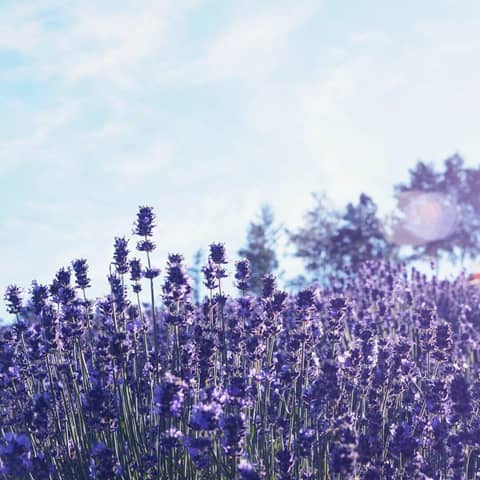 FURANO LOCATION PHOTO TOUR