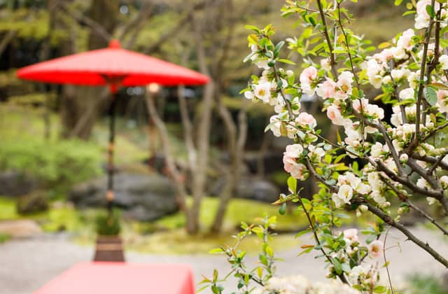 名古屋 料亭 八勝館