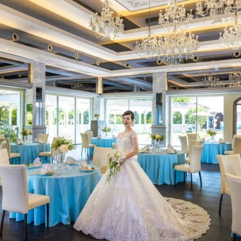 スプリングプラン【2026年3月~5月】