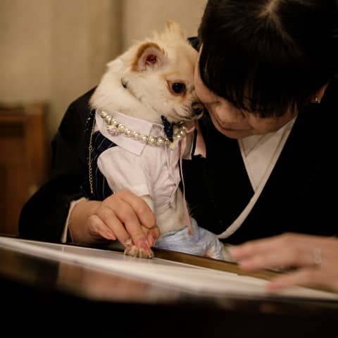 ペットと一緒に!ウェディングプラン