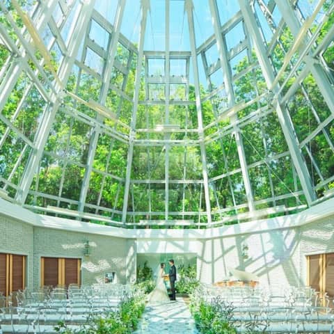 【2026年限定】アニバーサリープラン