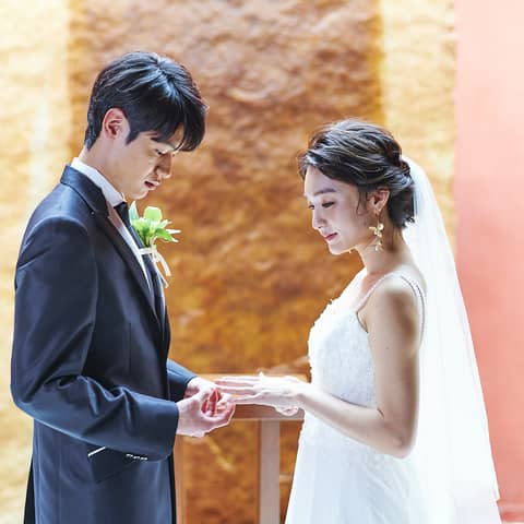 【2026年7月、8月限定】大人気シーズンプラン ◆40名163万円