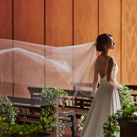 【2026年4月~6月限定】大人数がオトク!◆60名178万円