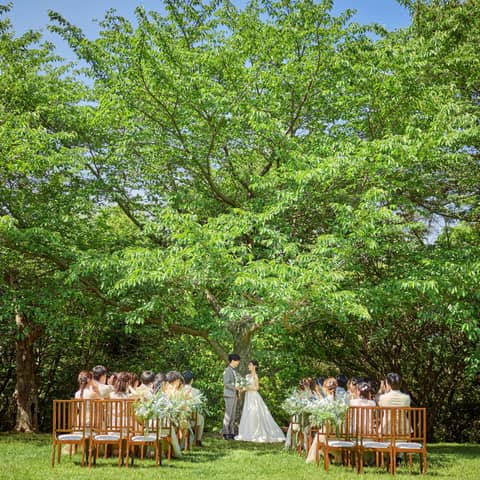 <サマープラン>2026年7~8月限定★最大170万円ご優待