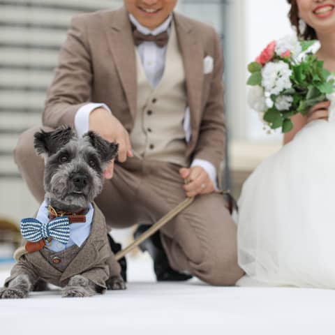ペットフレンドリーWeddingプラン