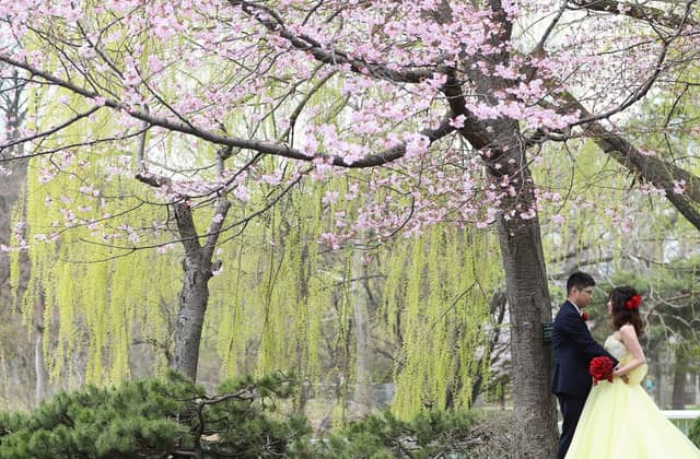 札幌パークホテル