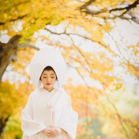 【通年プラン】北海道神宮×ホテル披露宴ファミリープラン☆50名様まで