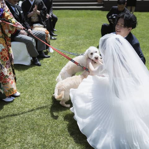 【日程限定】ガーデン人前式×リングドッグプラン(50名様~)