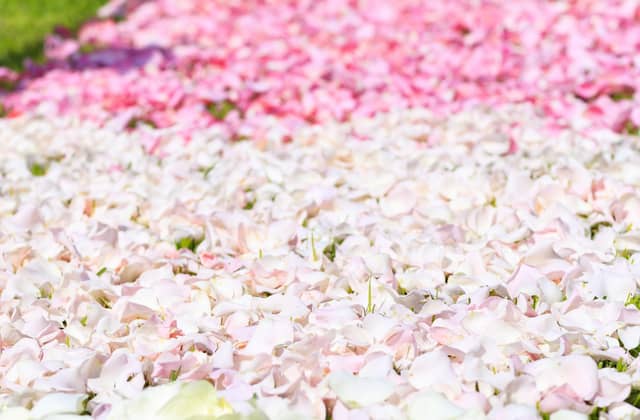 エクシブ山中湖