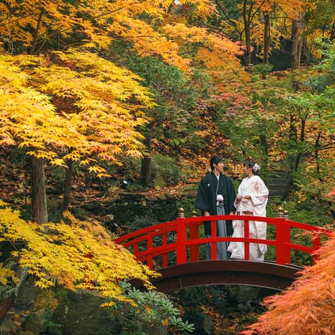 【本館通年プラン】エルム四季のウェディングパーティプラン