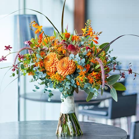 必要なアイテムが全て含まれた☆フルパッケージプラン