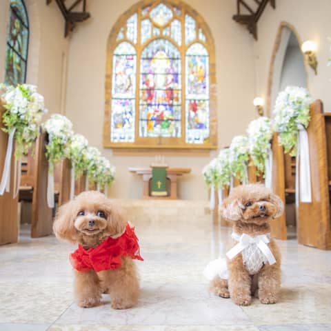 Patrick Kiso Garden(パトリック・キソ・ガーデン)| 東京町田の結婚式場