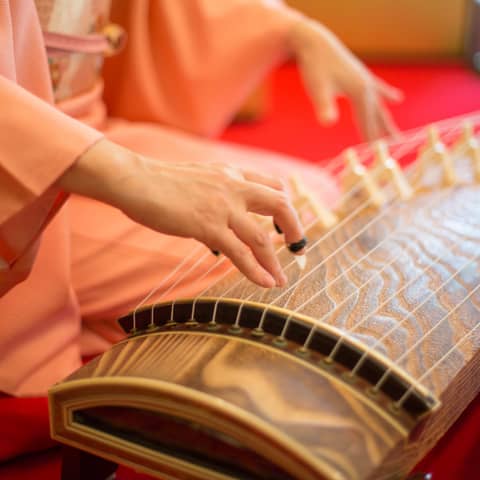 【2026年5月以降開催検討の方】80名様向け雅モダンWEDDING