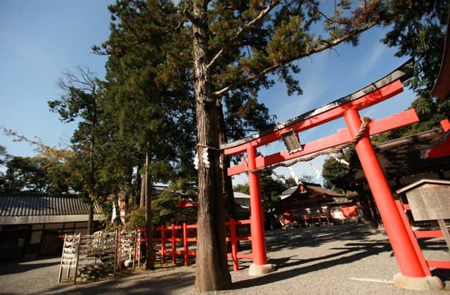 京都東山の結婚式場 【桜鶴苑(おうかくえん)】