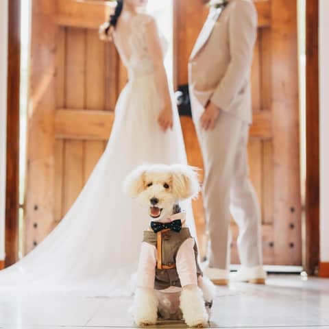 VILLA de ESPOIR〜エスポワール〜