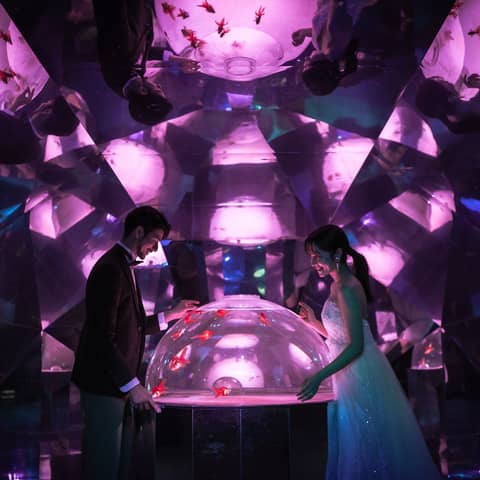 【2026年8月まで】挙式&水族館前撮り通常88万円→自己負担11万円