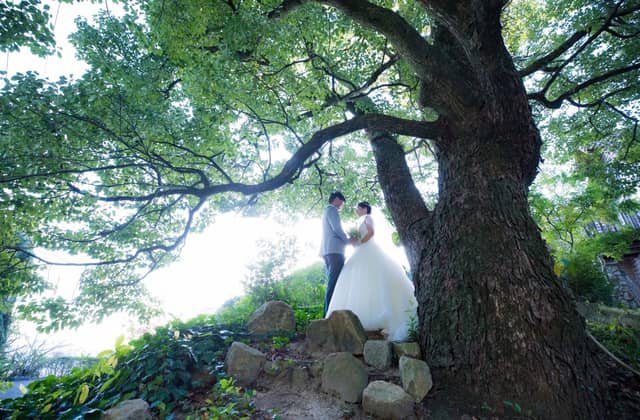 【公式】メープルヒル|山口県周南市のガーデンレストラン&ウエディング