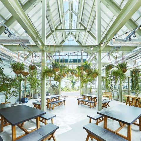 《30名30万円》SOLA CAFE限定パーティープラン