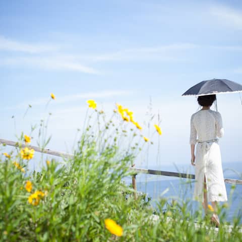 【淡路島】プライベート空間でのフォト&会食 10名698,000円