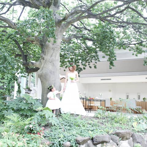 【前撮り撮影が無料】プレミアム モチの木プラン