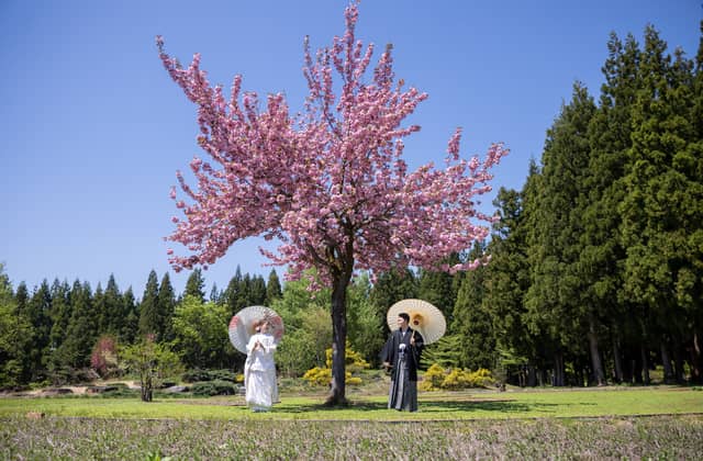 新潟の結婚式場はあてま高原リゾートベルナティオ【公式】