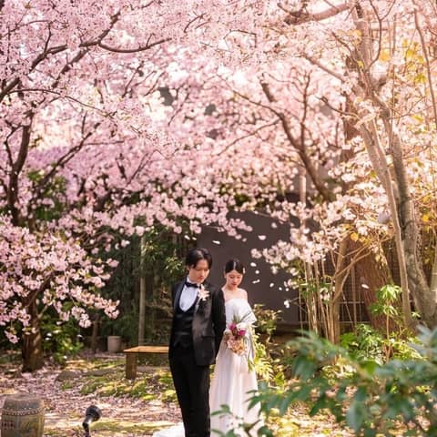 組数限定!ご負担金ゼロ|ご祝儀だけで叶う2027年春の婚礼【3~5月】