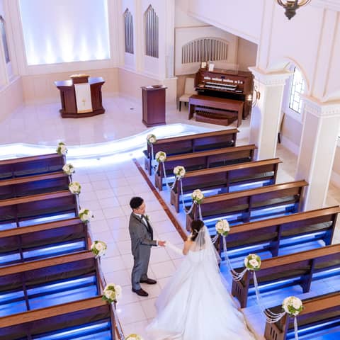 ベルルクス・プチ (ベルヴィグループ)