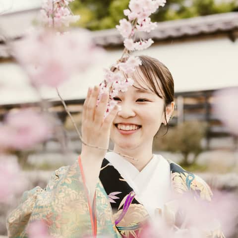 ベルルクス・プチ (ベルヴィグループ)