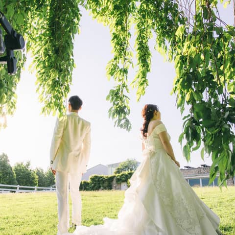 ベルルクス・プチ (ベルヴィグループ)