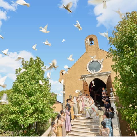 意外と人気シーズン!【2026年6月~8月限定】~夏婚プラン~