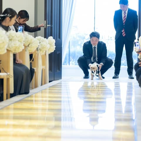 【大好きなペットと一緒に*ペット婚】大切な家族の一員と一緒に