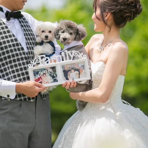 【公式】アルカーサルアヴィオ | 福岡 結婚式場