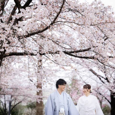 和装も洋装も◎大人気の桜でロケーション撮影プラン