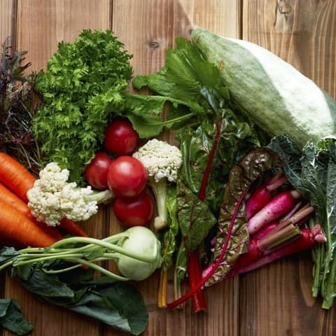 ◆最大100万円優待◆神前×和装プラン:26年9月迄